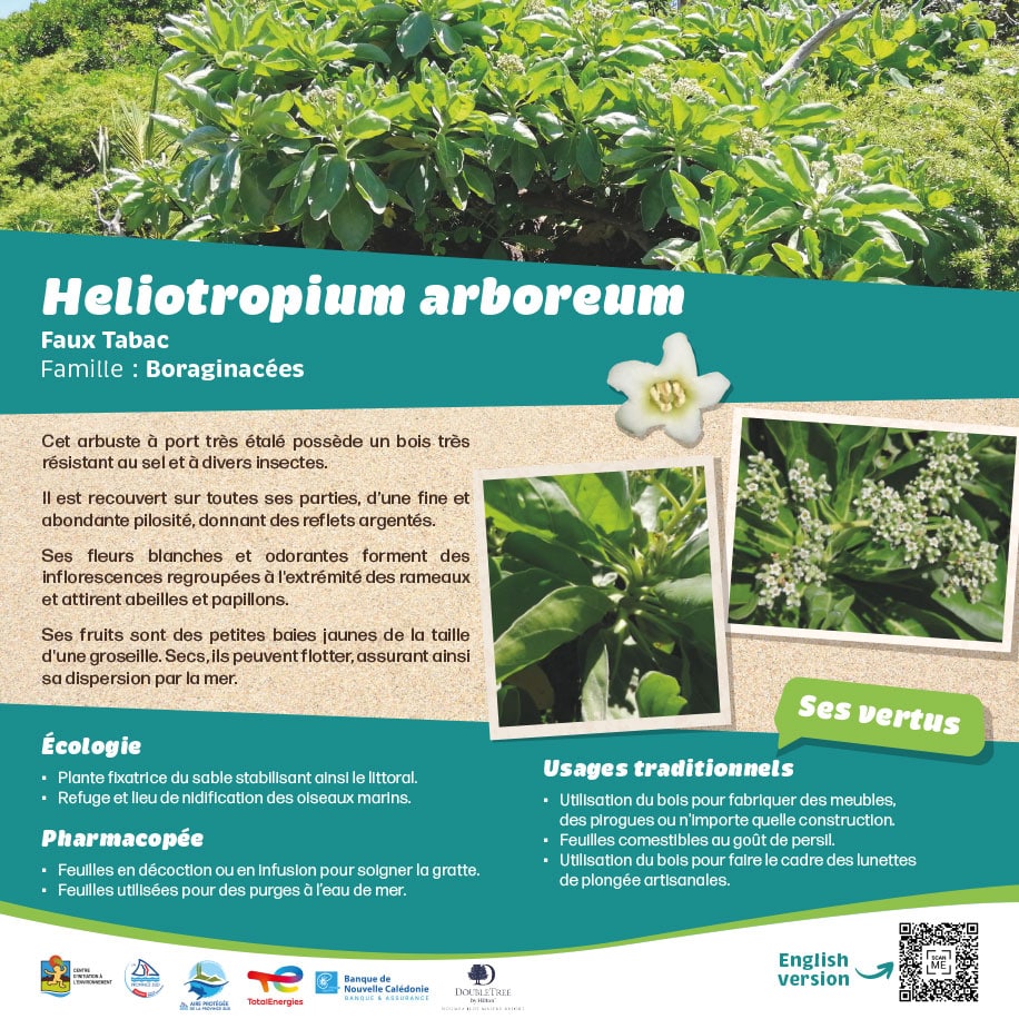 print-borne-04-faux-tabac-cie-30x30cm