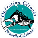 Opération cétacé