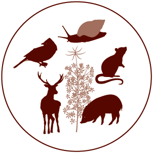 Les espèces envahissantes