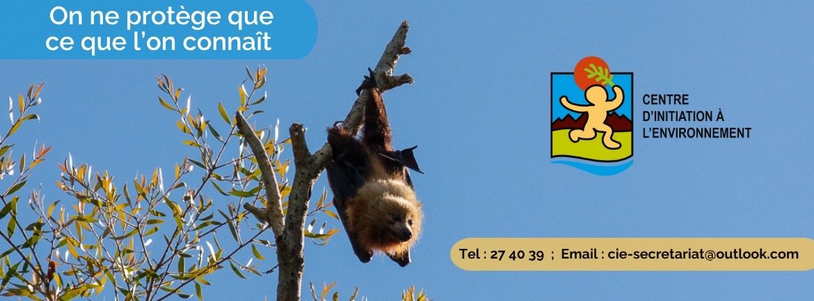 Centre d'initiation à l'environnement de NOUVELLE-CALEDONIE